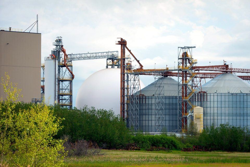 cúpula de grano y silos de grano