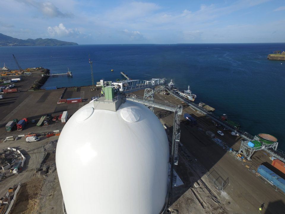 マルティニーク島のドメシロ